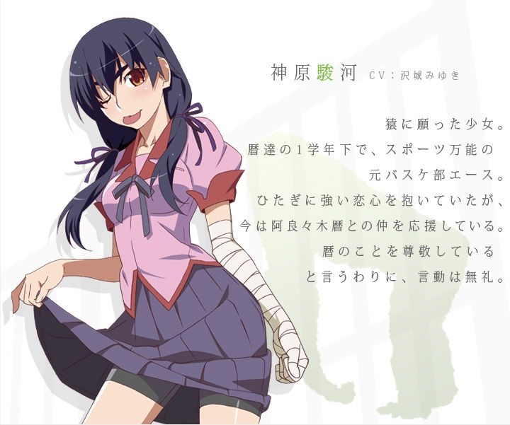 7月新番 物語系列貓物語 白 第一話 動漫台 香港高登討論區