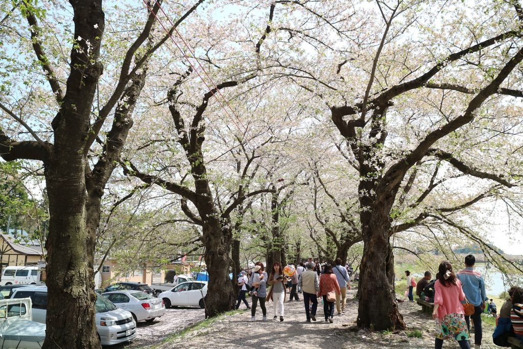 不孝子東京仙台秋田遊 旅遊台 香港高登討論區