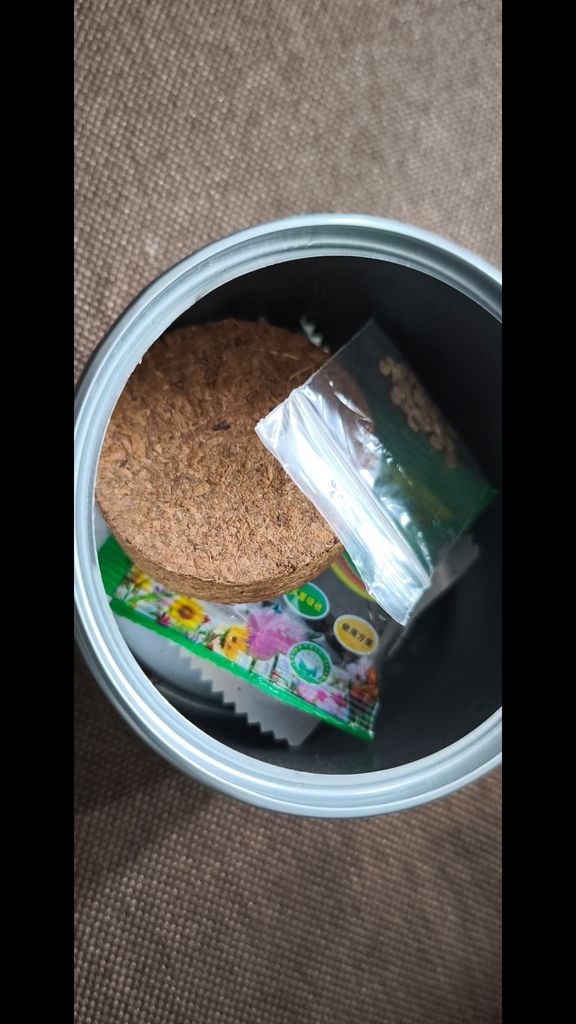 拼多多，5蚊的罐頭盆栽