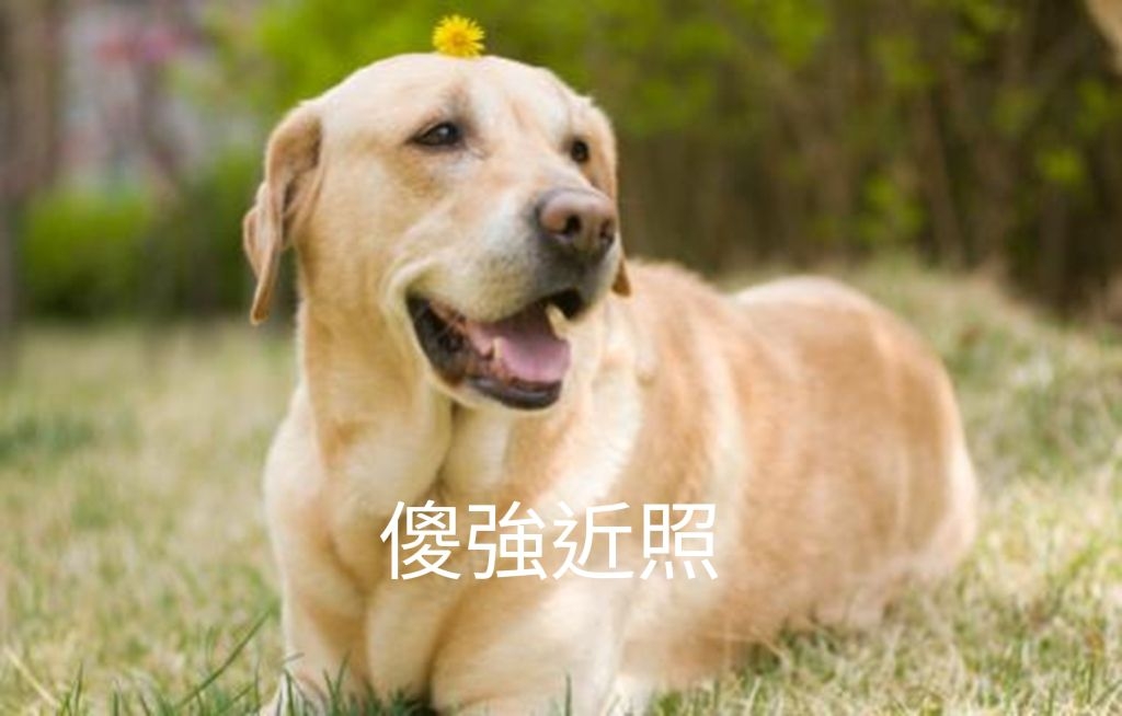 聽日中學開學揮手區 - 創意台 - 香港高登討論區
