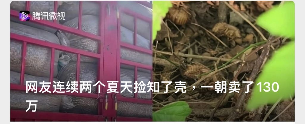 強国真係隨便就發大財！夢中人