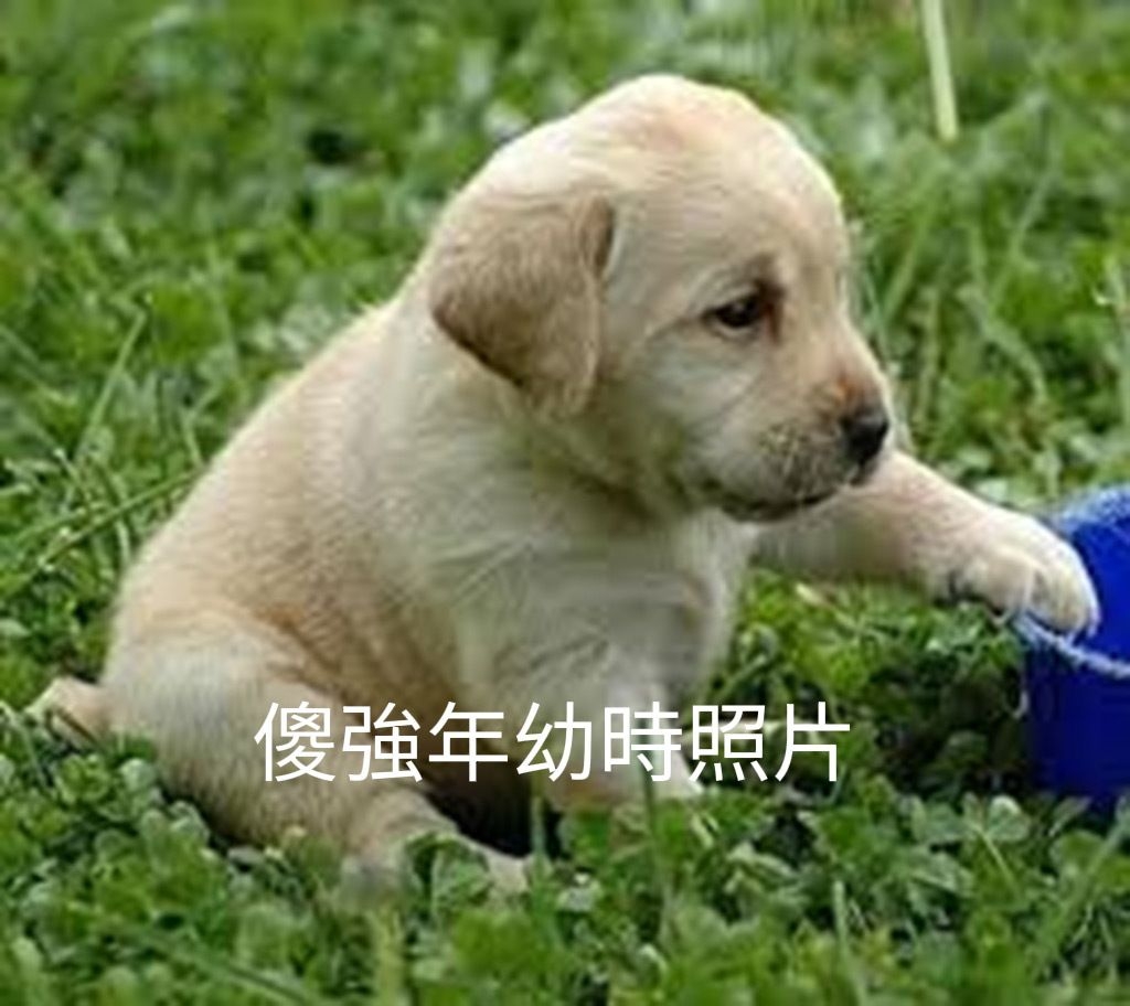 老豆做水電,屋企慳唔小 - 吹水台 - 香港高登討論區