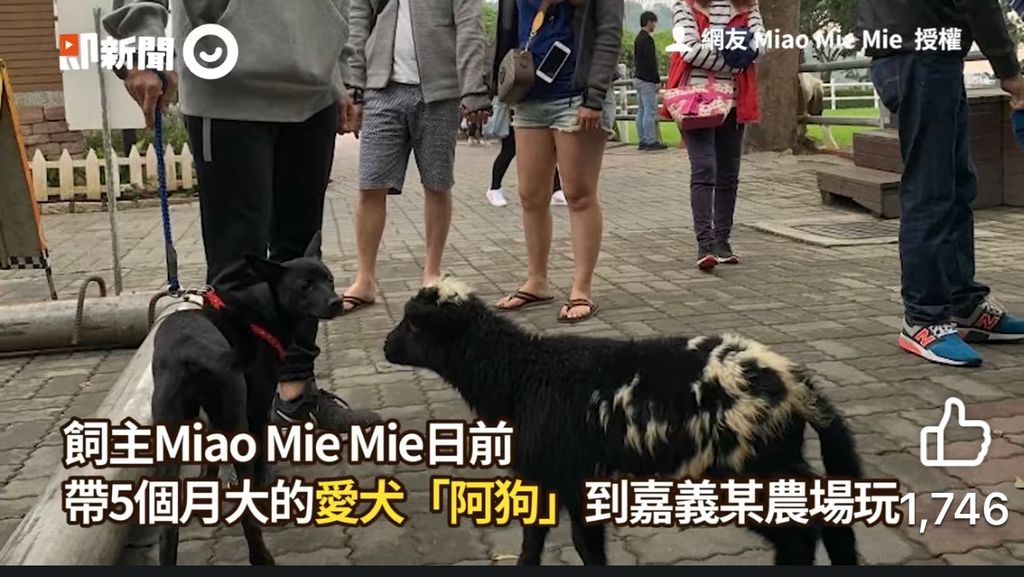 頭先有個男人撩我講野 - 時事台 - 香港高登討論區