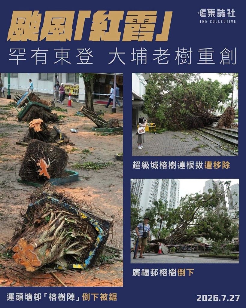 大埔發生咩事